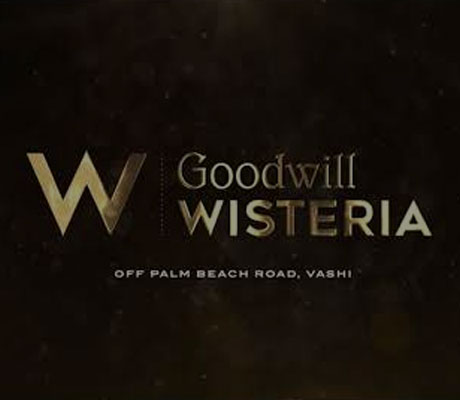 A Glimpse At The Grandeur Of Goodwill Wisteria